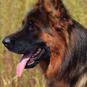 Meet your Posher, Keith